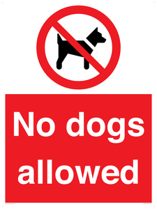 No dogs allowed